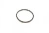 Ремкомплект суппорта переднего MB Vito (W639)(d=48mm)(Bosch)(+2 поршня/направляю FRENKIT 748342 (фото 4)