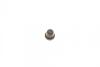Ремкомплект суппорта переднего MB Vito (W639)(d=48mm)(Bosch)(+2 поршня/направляю FRENKIT 748342 (фото 6)