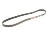 Поліклинові ремені Micro-V StretchFit (Вир-во) Gates 6PK1249SF (фото 2)