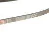 Поліклинові ремені Micro-V StretchFit (Вир-во) Gates 6PK1249SF (фото 4)