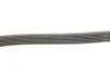 Ремінь генератора Sonata YF 10- Sonata YF 10- Gates 6PK2550 (фото 3)