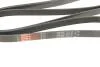 Ремінь генератора Sonata YF 10- Sonata YF 10- Gates 6PK2550 (фото 4)