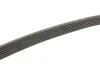 Поліклинові ремені Micro-V (Вир-во) Gates 7PK2080 (фото 3)