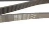 Поліклинові ремені Micro-V (Вир-во) Gates 7PK2080 (фото 4)