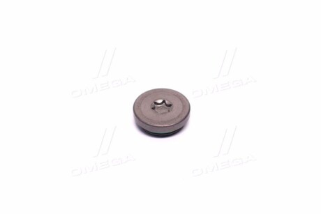 Заглушка болта распред GM 55557288