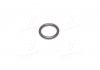 Кольцо уплотнительное трубки кондиционера Лачетти, Эпика, Ланос, Авео GM 94535515 (фото 4)
