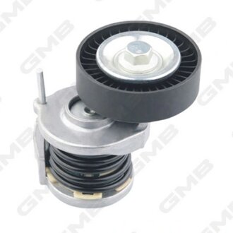 Ролик натяжной ремня генератора Audi A1–A6/Q3/Q5/ VW Golf 5–7/Passat/Tiguan/Cadd GMB GAT20250 (фото 1)