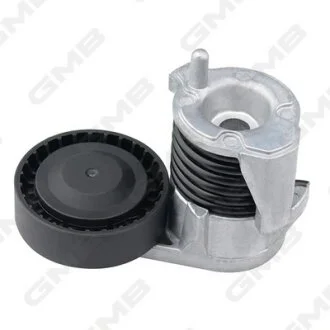 Ролик натяжной ремня генератора Ford Focus 2.5/ Volvo C30/C70/S40/V50  GMB GAT20480