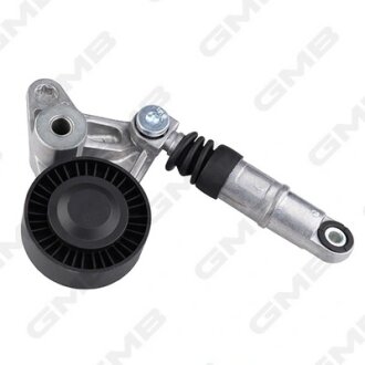 Натяжитель ремня ГРМ гидравлический Audi A4/A5/A6/A8/Q5/Q7/VW Touareg/ Porsche C GMB GHAT202