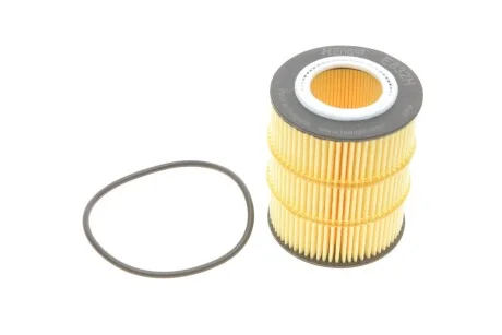 Фільтр масляний PSA 3.0 V6 09-. LR RANGE ROVER 3.0 09- (вир-во HENGST) HENGST FILTER E832HD317
