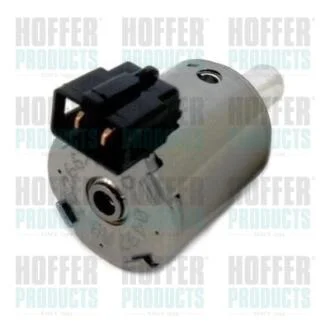 Клапан управління тиском HOFFER 8091520