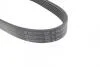 Ремінь генератора (поліклиновий) HUTCHINSON 2300 K 6 (фото 4)