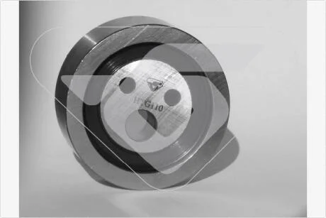 Натяжной ролик Renault Megane, Clio, Kangoo, Logan 1.4; 1.6 (96-)  Hutchinson HUTCHINSON HTG110