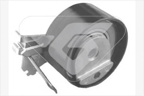Натяжной ролик Citroen C3, C4/Peugeot 206, 307 1.4 16V (03-)  Hutchinson HUTCHINSON HTG317
