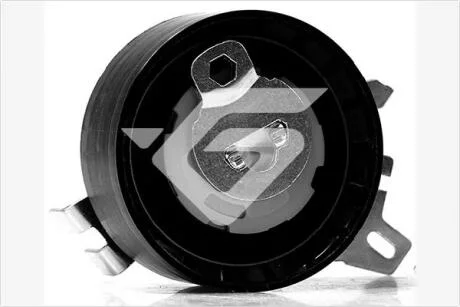 Натяжной ролик Citroen C4, C5/Peugeot 407, 807 1.8; 2.0 (04-)  Hutchinson HUTCHINSON HTG411
