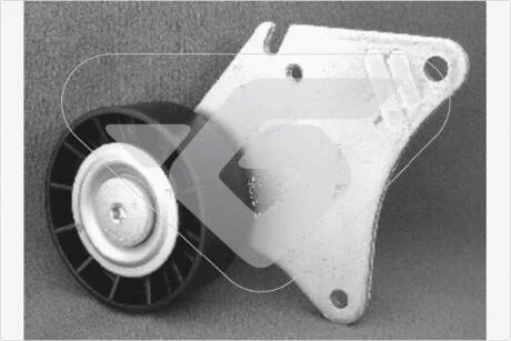 Ролик приводного ремня паразитный Citroen Berlingo (96-08)  Hutchinson HUTCHINSON T0203