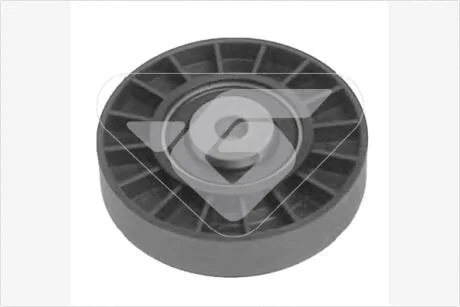 Ролик обводной 1,4/1,6 8V Renault Clio II, Kangoo I  Hutchinson HUTCHINSON T0240
