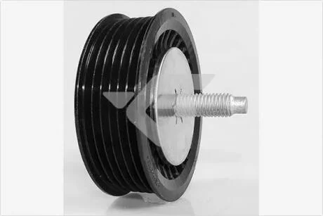 Ролик приводного ременя 1,6 16V, 1,5dci Renault Kangoo II, Megane II, Captur  Hutchinson HUTCHINSON T0533