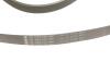 Комплект ременів поліклинових INA 529 0556 10 (фото 4)