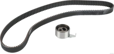 Роликовий модуль натягувача ременя (ролик, ремінь) HERTH+BUSS JAKOPARTS J1113047