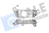 Інтеркулер Citroen C4 (09-) DS4, DS5 (11-)/Peugeot 308 (09-), 3008, 5008 (09-) 2.0 BlueHDI Kale oto radyator 350825 (фото 1)
