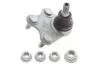 Опора кульова AUDI A1, SEAT IBIZA III-IV, VW POLO 01- перед. міст праворуч LEMFORDER 33906 01 (фото 1)