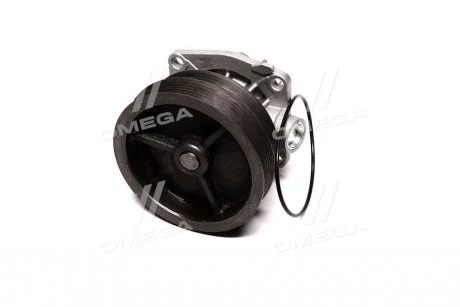 Водяной насос (пр-во Magneti Marelli кор.код. WPQ0303) MAGNETI MARELLI 352316170303