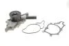 Водяний насос (Вир-во Magneti Marelli кор.код. WPQ0691) MAGNETI MARELLI 352316170691 (фото 1)