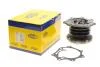 Водяний насос (Вир-во Magneti Marelli кор.код. WPQ0798) MAGNETI MARELLI 352316170798 (фото 1)