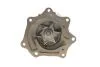 Водяний насос (Вир-во Magneti Marelli кор.код. WPQ0798) MAGNETI MARELLI 352316170798 (фото 7)