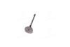 Клапан (виробн. Mahle) MAHLE / KNECHT 011 VE 30457 000 (фото 4)
