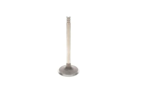 Клапан двигуна MAHLE / KNECHT 029 VE 31102 000