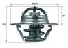 Термостат системи охолодження Mahle / Knecht MAHLE / KNECHT TX 88 88D (фото 1)