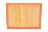 Фільтр повітряний PSA 2.0 04-10 (вир-во) MANN C25118/1 (фото 1)