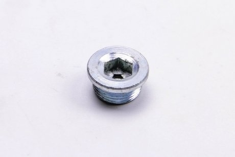 Пробка сливная поддона с резьбой Peugeot Boxer/Citroen Jumper 2.8 3.0HDI (02-) Metalcaucho 05441 (фото 1)