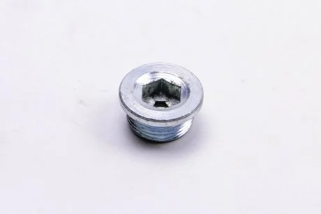 Пробка зливна піддону з різьбленням Peugeot Boxer/Citroen Jumper 2.8 3.0HDI (02-)  Metalcaucho 05441