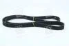 Ремень генератора TUCSON 2.0TD/Sante FE NEW 2.2TD/Sante FE 2.0 TD 25212-27400/25212-27010/27002 MOBIS 2521227400 (фото 1)