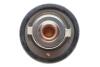 Автозапчастина MOTORAD 446-88K (фото 3)