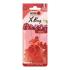 Ароматизатор мешочек X bag 20 гр Cherry Nowax NX07555 (фото 1)