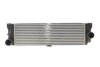 Радіатор інтеркулера NRF 309142 (фото 1)