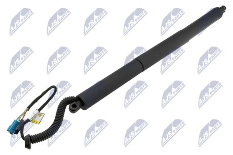 Амортизатор задніх (5) дверей NTY AEBM098