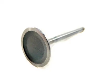 Клапана впускні Лачетті LDA (OE) OEM 93333561