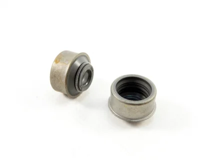 Сальники клапанів Авео 1.5 (OE) OEM 96229145
