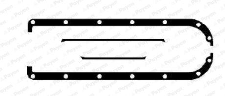 Комплект прокладок двигуна Payen HC417