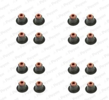 Сальник клапана (компл.) BMW N42/N46 (16PCS) Payen HR5086