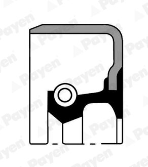 Сальник гумометалевий Payen NJ562