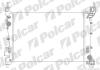 Радіатори охолодження LINEA Polcar 3025081 (фото 1)