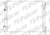 Радіатори охолодження THALIA, 08-13 Polcar 606008A6 (фото 1)