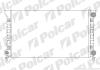 Радіатори охолодження PASSAT 88-93 Polcar 954608A4 (фото 1)
