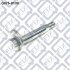 Болт з ексцентриком Q-FIX Q3760139 (фото 1)
